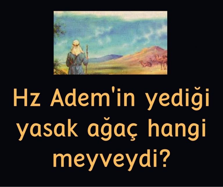 Hz Adem’in yediği yasak ağaç hangi meyveydi?