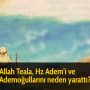 indir (28)
