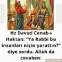 hz davud
