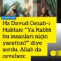 hz davud