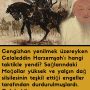 cengizhan