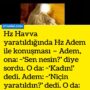 hz havva