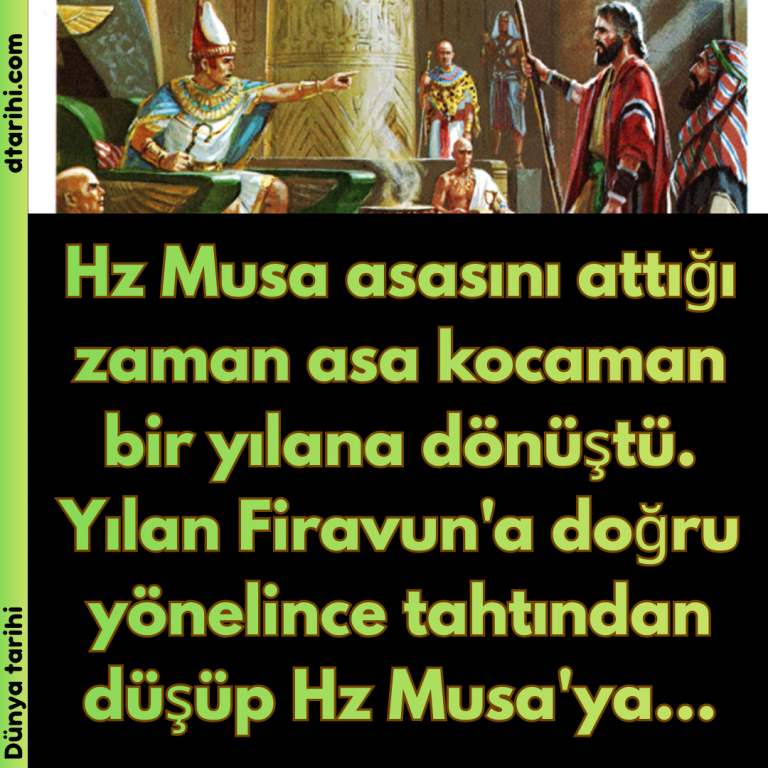 Hz Musa asasını attığı zaman asa kocaman bir yılana dönüştü. Yılan Firavun’a doğru yönelince tahtından düşüp Hz Musa’ya…