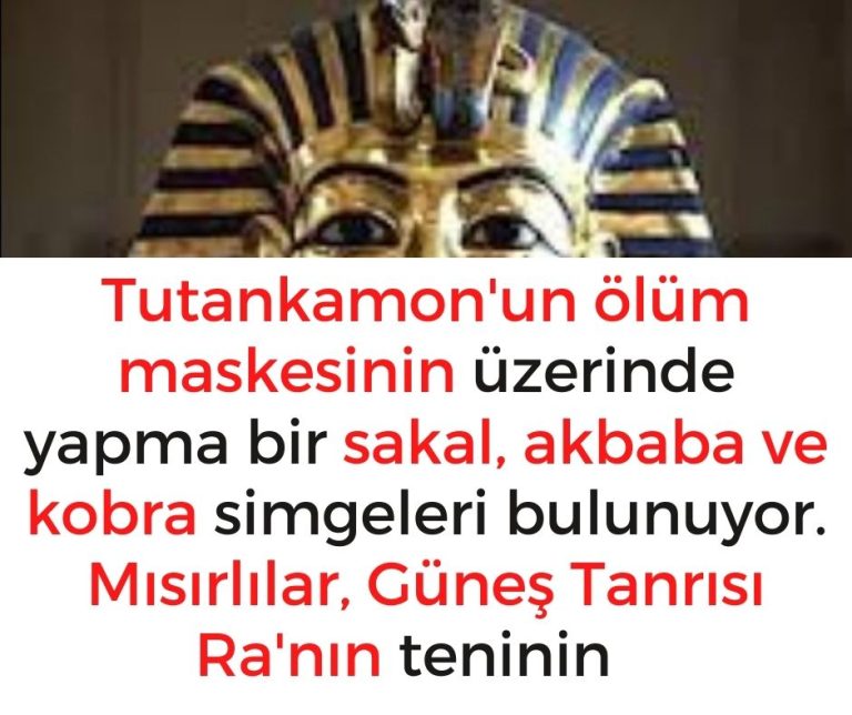 Tutankamon’un ölüm maskesinin üzerinde yapma bir sakal, akbaba ve kobra simgeleri bulunuyor.  Mısırlılar, Güneş Tanrısı Ra’nın teninin