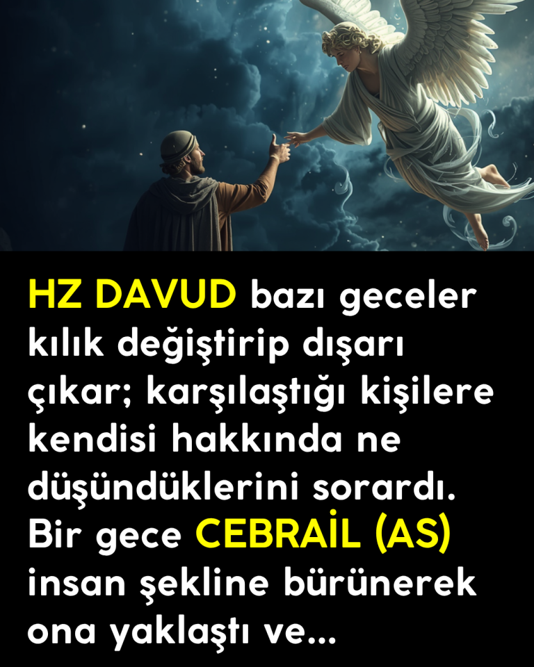 HZ DAVUD bazı geceler kılık değiştirip dışarı çıkar; karşılaştığı kişilere kendisi hakkında ne düşündüklerini sorardı. Bir gece CEBRAİL (AS) insan şekline bürünerek ona yaklaştı ve…