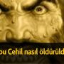 indir (48)