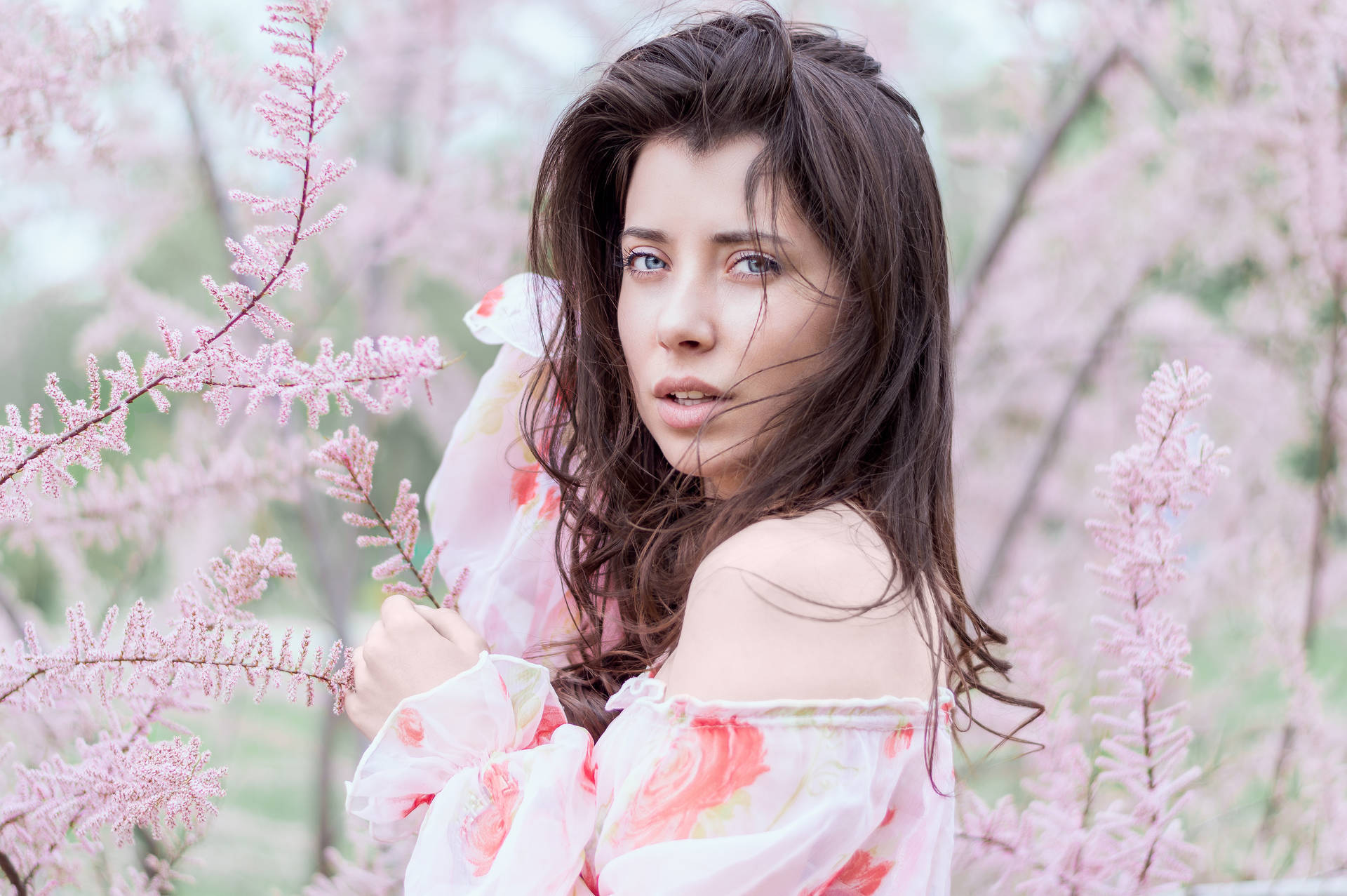 Depositphotos_430987688_xl-2015-1