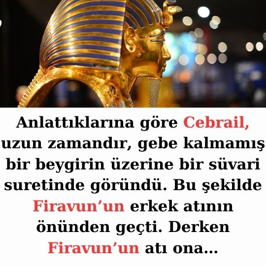 firavun