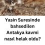 Mavi Modern Ekonomi Haber Manşeti Instagram Gönderisi – 2024-08-13T071223.381