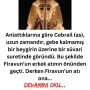 firavun