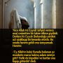 indir (9)