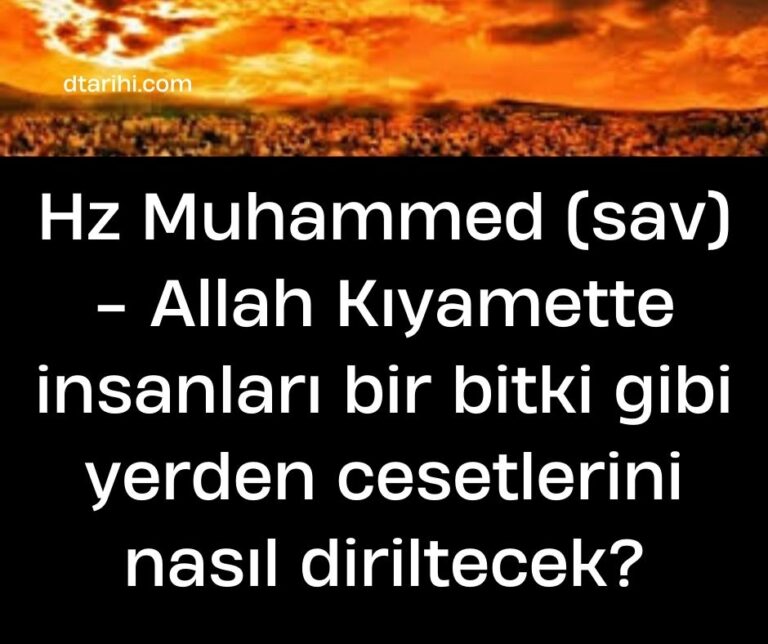Hz Muhammed (sav) – Allah Kıyamette insanları bir bitki gibi yerden cesetlerini nasıl diriltecek?