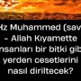 Hz Muhammed (sav) – Allah Kıyamette insanları bir bitki gibi yerden cesetlerini nasıl diriltecek?