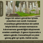 Beyaz Sade Haber Gönderisi İnstagram Gönderisi (5)