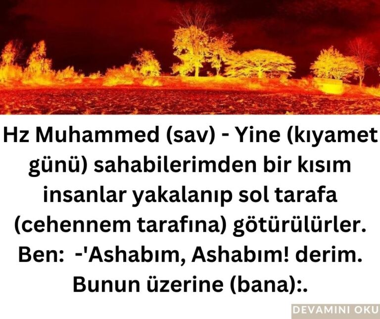 Hz Muhammed (sav) – Yine (kıyamet günü) sahabilerimden bir kısım insanlar yakalanıp sol tarafa (cehennem tarafına) götürülürler. Ben:  -‘Ashabım, Ashabım! derim. Bunun üzerine (bana):