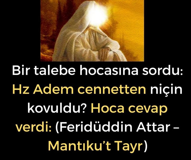 Bir talebe hocasına sordu: Hz Adem cennetten niçin kovuldu?  Hoca cevap verdi: (Feridüddin Attar – Mantıku’t Tayr)