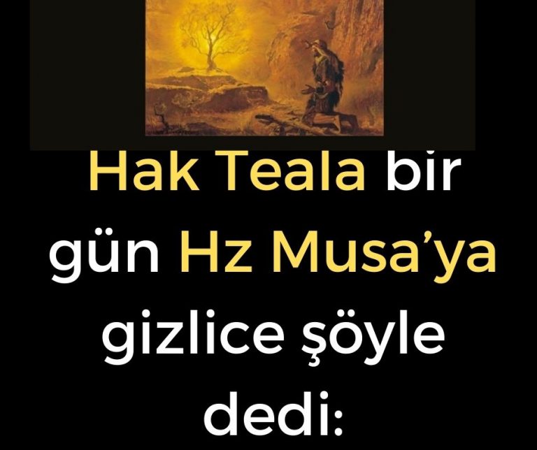Hak Teala bir gün Hz Musa’ya gizlice şöyle dedi: