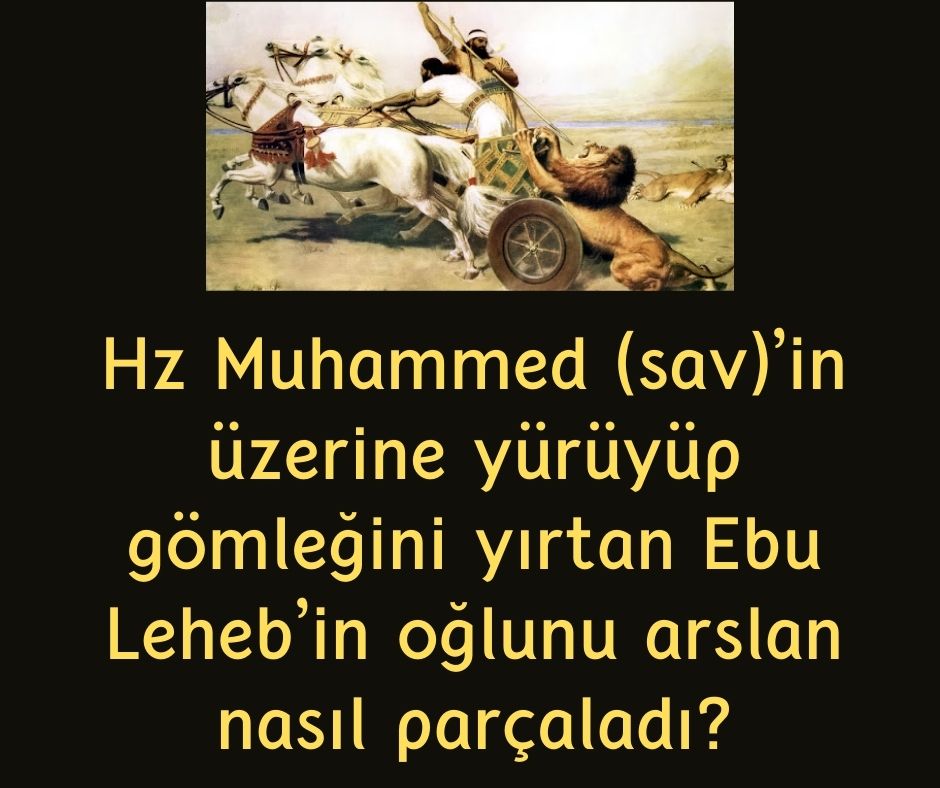 Hz Muhammed (sav)'in üzerine yürüyüp gömleğini yırtan Ebu Leheb'in oğlunu arslan nasıl parçaladı?