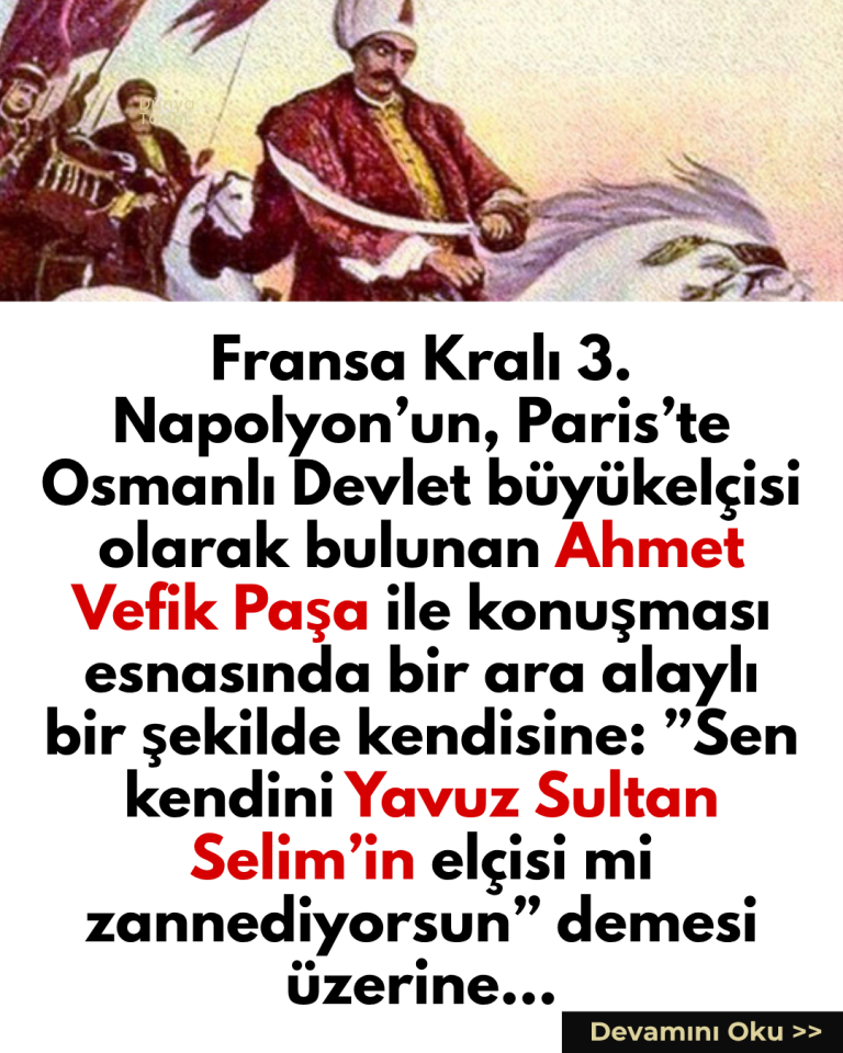 Fransa Kralı 3. Napolyon’un, Paris’te Osmanlı Devlet büyükelçisi olarak bulunan Ahmet Vefik Paşa ile konuşması esnasında bir ara alaylı bir şekilde kendisine:  ”Sen kendini Yavuz Sultan Selim’in elçisi mi zannediyorsun” demesi üzerine…