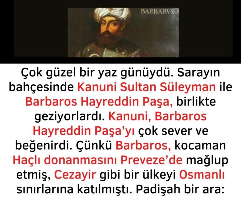 Çok güzel bir yaz günüydü. Sarayın bahçesinde Kanuni Sultan Süleyman ile Barbaros Hayreddin Paşa, birlikte geziyorlardı.  Kanuni, Barbaros Hayreddin Paşa’yı  çok sever ve beğenirdi. Çünkü Barbaros, kocaman Haçlı donanmasını Preveze’de mağlup etmiş, Cezayir gibi bir ülkeyi Osmanlı sınırlarına katılmıştı.  Padişah bir ara: