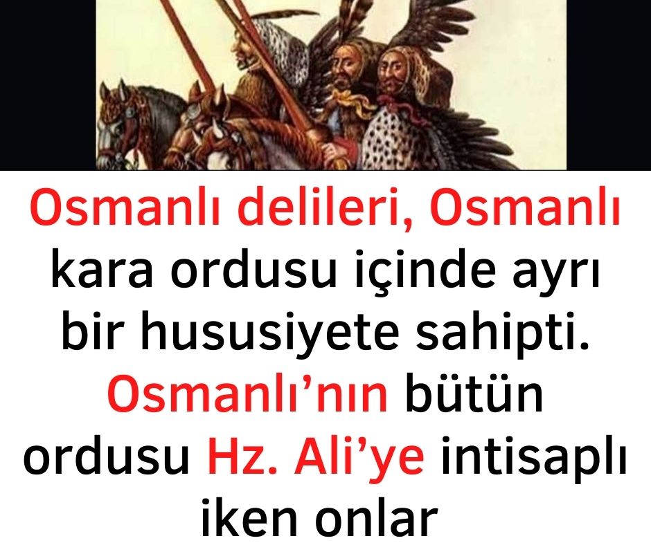 Osmanlı delileri, Osmanlı kara ordusu içinde ayrı bir hususiyete sahipti. Osmanlı’nın bütün ordusu Hz. Ali’ye  intisaplı iken onlar