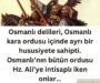 osmanlı delileri
