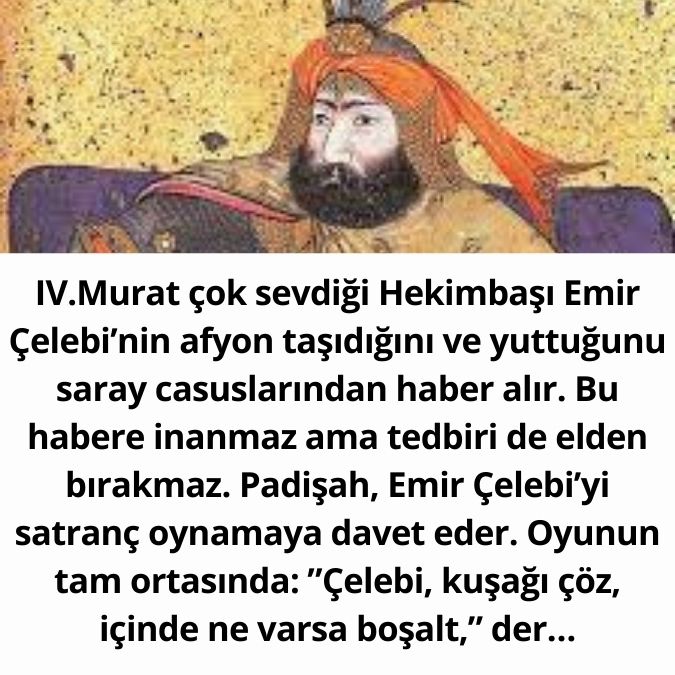 4. murad