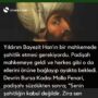 yıldırım bayezid