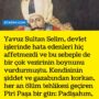 Sarı Modern Bilim Haber Manşeti Instagram Gönderisi – 2023-10-23T220451.227