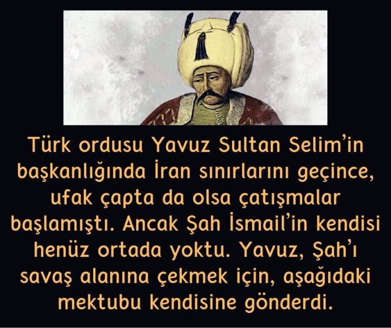 Türk ordusu Yavuz Sultan Selim’in başkanlığında İran sınırlarını geçince, ufak çapta da olsa çatışmalar başlamıştı.  Ancak Şah İsmail’in kendisi henüz ortada yoktu.  Yavuz, Şah’ı savaş alanına çekmek için, aşağıdaki mektubu kendisine gönderdi.