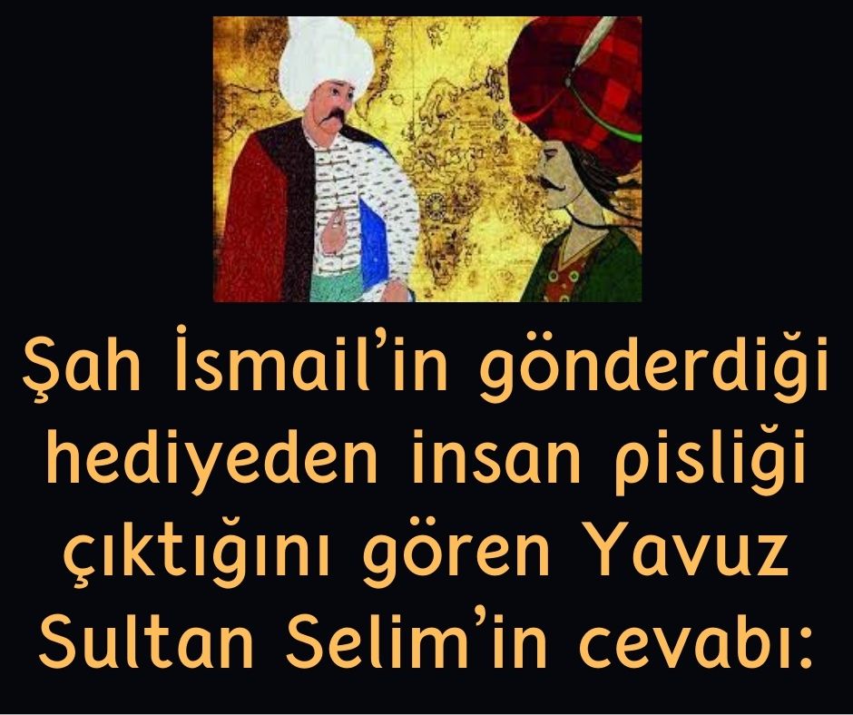 Şah İsmail'in gönderdiği hediyeden insan pisliği çıktığını gören Yavuz Sultan Selim'in cevabı: