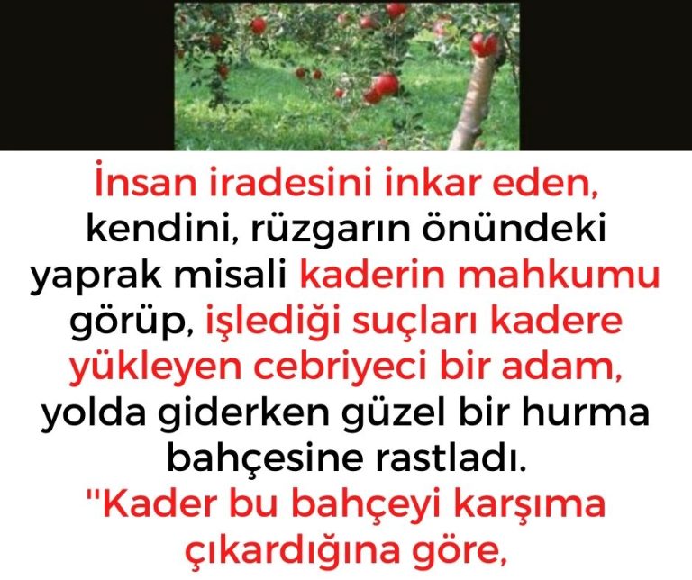 İnsan iradesini inkar eden, kendini, rüzgarın önündeki yaprak misali kaderin mahkumu görüp, işlediği suçları kadere yükleyen cebriyeci bir adam, yolda giderken güzel bir hurma bahçesine rastladı.  ”Kader bu bahçeyi karşıma çıkardığına göre,
