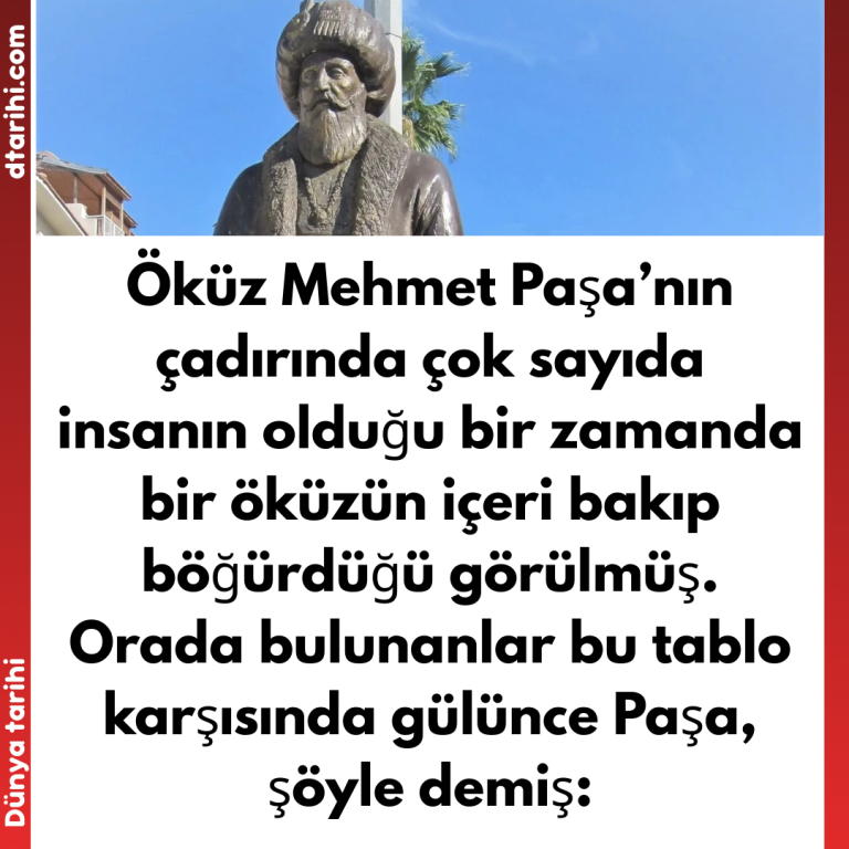 Öküz Mehmet Paşa’nın çadırında çok sayıda insanın olduğu bir zamanda bir öküzün içeri bakıp böğürdüğü görülmüş.  Orada bulunanlar bu tablo karşısında gülünce Paşa, şöyle demiş: