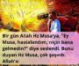 hz musa