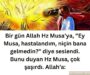 hz musa
