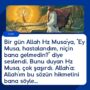 hz musa