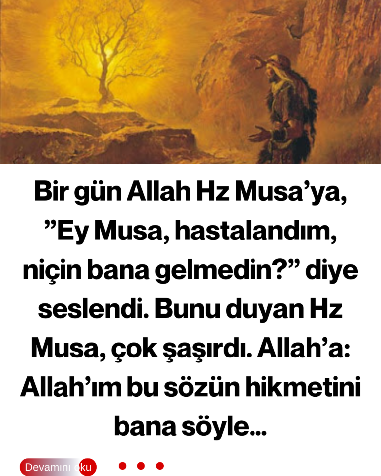 Bir gün Allah Hz Musa’ya, ”Ey Musa, hastalandım, niçin bana gelmedin?” diye seslendi.  Bunu duyan Hz Musa, çok şaşırdı. Allah’a: Allah’ım bu sözün hikmetini bana söyle…