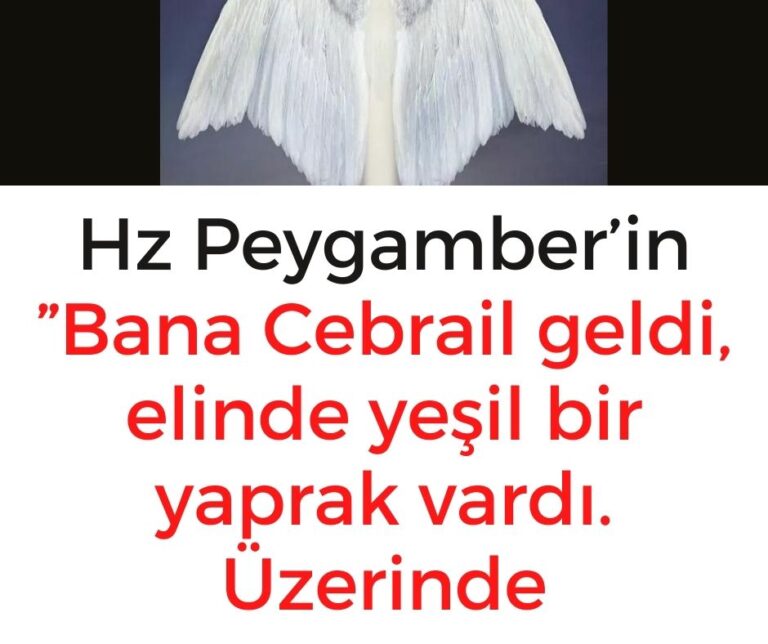 Hz Peygamber’in ”Bana Cebrail geldi, elinde yeşil bir yaprak vardı. Üzerinde