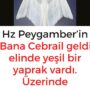 Hz Peygamber’in ”Bana Cebrail geldi, elinde yeşil bir yaprak vardı. Üzerinde