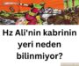 hz ali