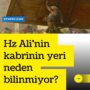 hz ali