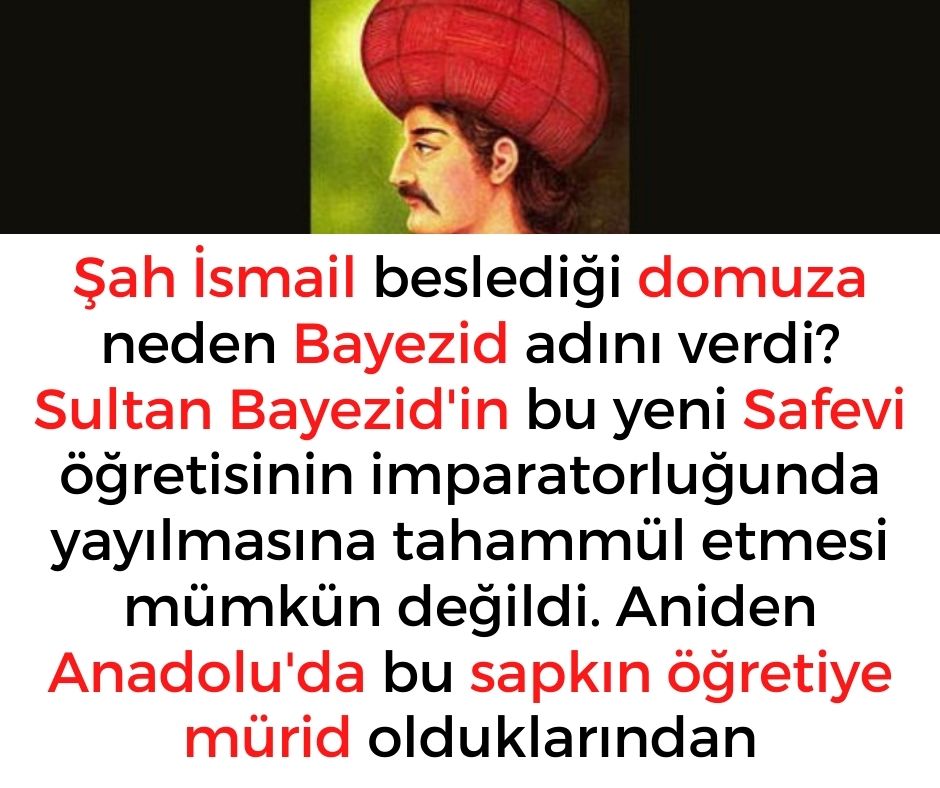 Şah İsmail beslediği domuza neden Bayezid adını verdi? Sultan Bayezid'in bu yeni Safevi öğretisinin imparatorluğunda yayılmasına tahammül etmesi mümkün değildi. Aniden Anadolu'da bu sapkın öğretiye mürid olduklarından