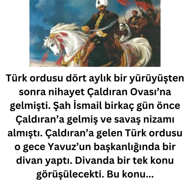 Türk ordusu dört aylık bir yürüyüşten sonra nihayet Çaldıran Ovası’na gelmişti.  Şah İsmail birkaç gün önce Çaldıran’a gelmiş ve savaş nizamı almıştı.  Çaldıran’a gelen Türk ordusu o gece Yavuz’un başkanlığında bir divan yaptı.  Divanda bir tek konu görüşülecekti. Bu konu…
