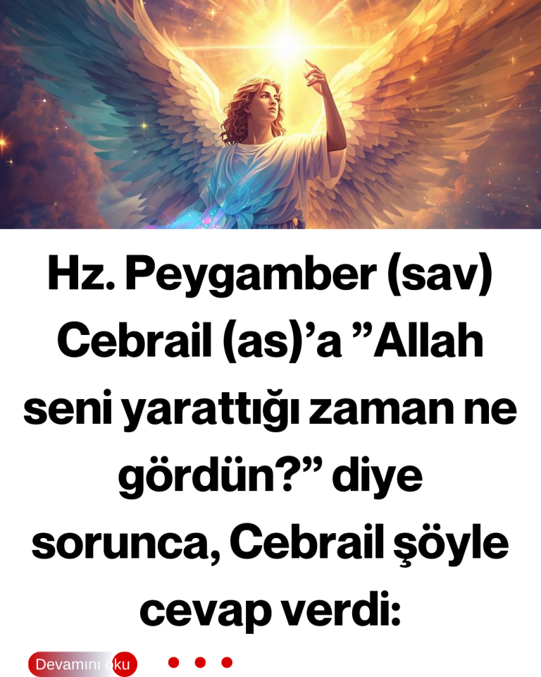 Hz. Peygamber (sav) Cebrail (as)’a ”Allah seni yarattığı zaman ne gördün?” diye sorunca, Cebrail şöyle cevap verdi: