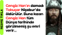 Green Bold Indian Jungle YouTube Thumbnail (5)