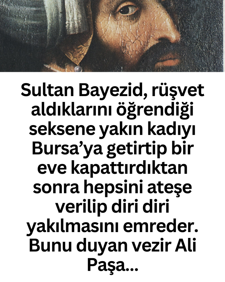 Sultan Bayezid, rüşvet aldıklarını öğrendiği seksene yakın kadıyı Bursa’ya getirtip bir eve kapattırdıktan sonra hepsini ateşe verilip diri diri yakılmasını emreder. Bunu duyan vezir Ali Paşa…