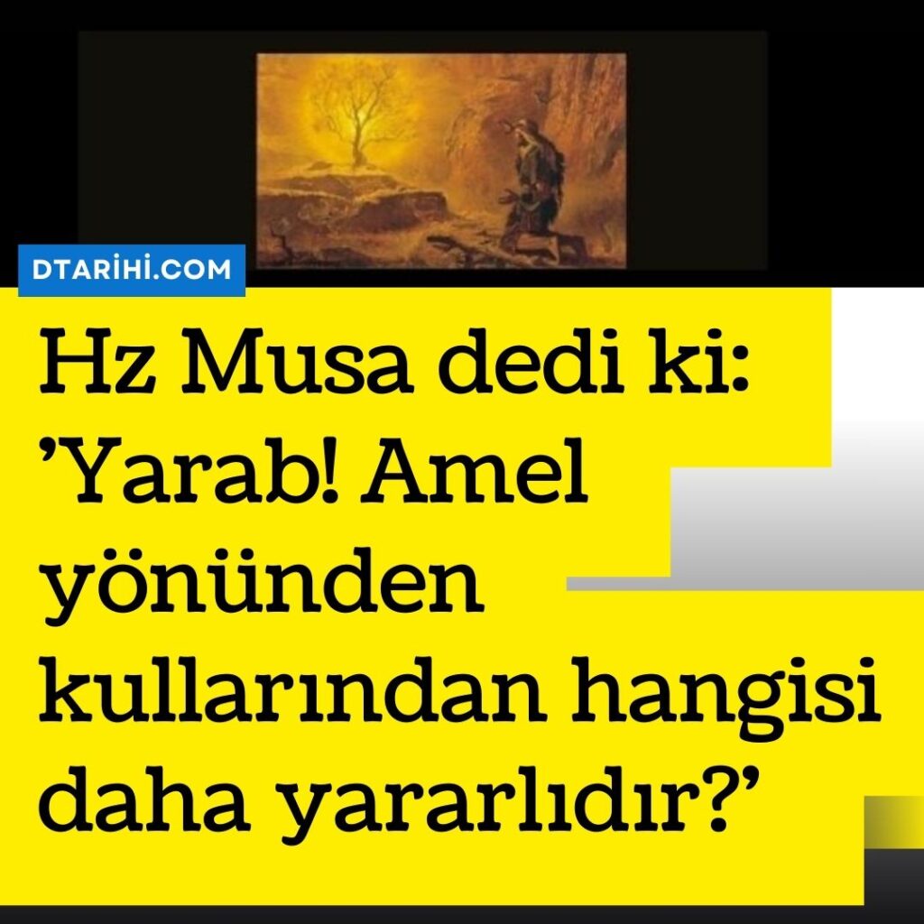 hz musa