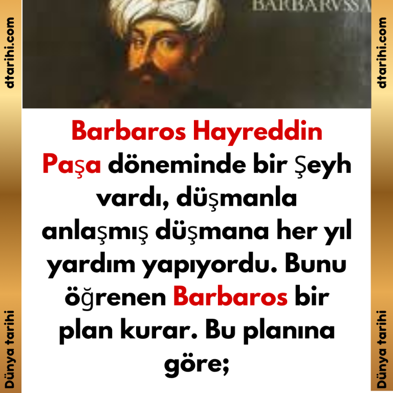 Barbaros Hayreddin Paşa döneminde bir Şeyh vardı, düşmanla anlaşmış düşmana her yıl yardım yapıyordu. Bunu öğrenen Barbaros bir plan kurar. Bu planına göre;