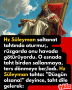 Kırmızı, Sarı ve Beyaz, Modern ve Güncel, İstanbul Şehri Son Dakika Kar Yağışı Haberi, Instagram Gönderisi – 2026-06-01T203137.452
