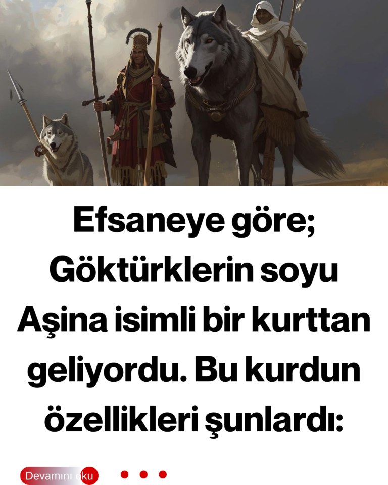 Efsaneye göre; Göktürklerin soyu Aşina isimli bir kurttan geliyordu. Bu kurdun özellikleri şunlardı: